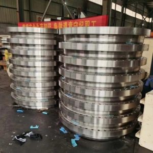 Alternative view of Mặt bích Weld Neck – Forging