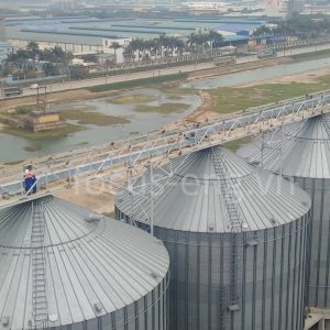 Xích tải - Ảnh 3